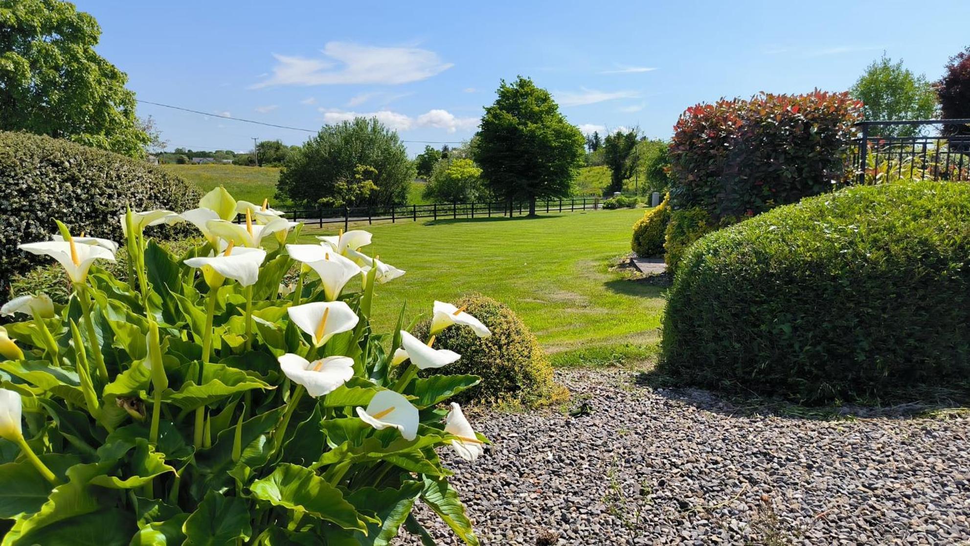 Swinford Country House Exterior photo